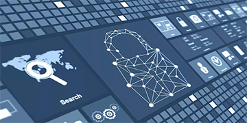 香港公式网497799