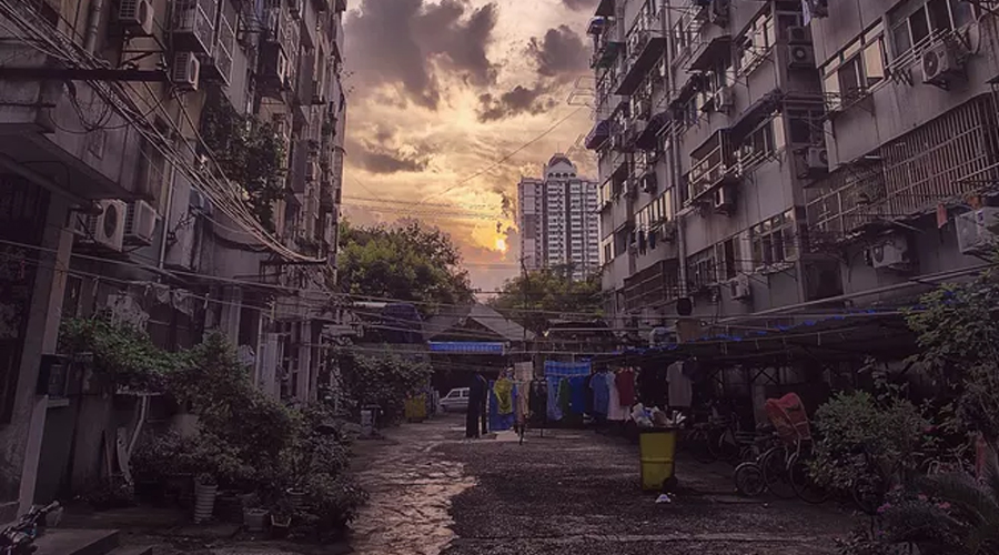 香港公式网497799