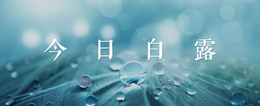 香港公式网497799